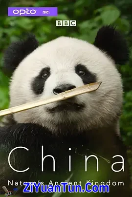 中国：大自然的古老王国 第一季封面图