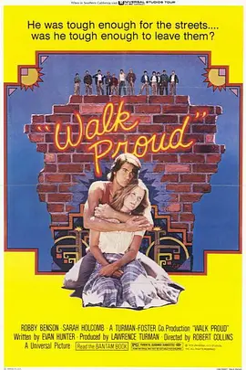 红皮太保封面图