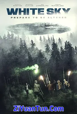 苍白天空封面图