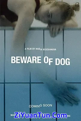 狗样人生封面图