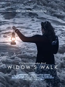 寡妇之行封面图