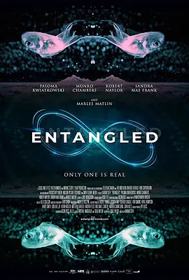 Entangled封面图