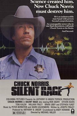 无声的愤怒封面图