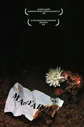 匈牙利人封面图