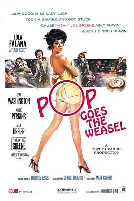 可可女士封面图