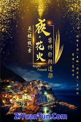 夜花火封面图