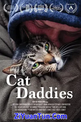 猫爸爸们封面图