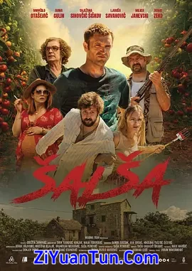 Šalša封面图