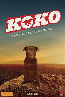 Koko:红犬历险记封面图