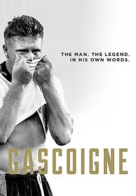 加斯科因封面图