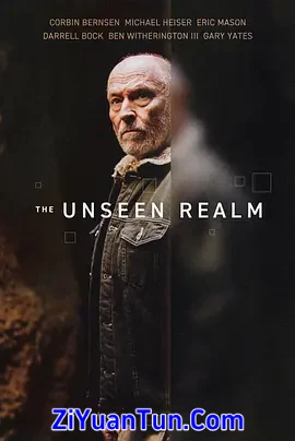 The Unseen Realm封面图