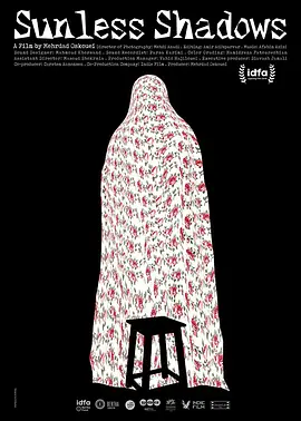 无光的阴影封面图