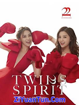 Twins Spirit 22 演唱会 Twins Spirit Since 2001 Live in Hong Kong封面图
