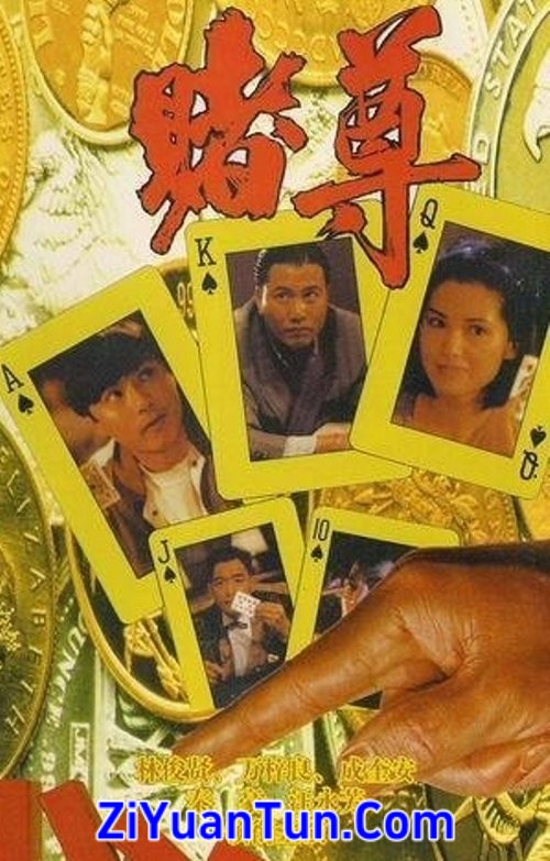 赌尊封面图