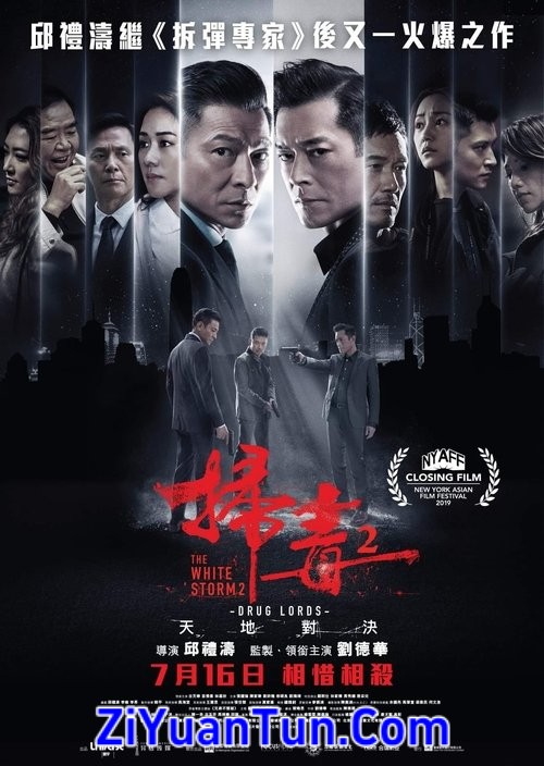 扫毒2：天地对决封面图