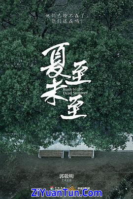 夏至未至封面图