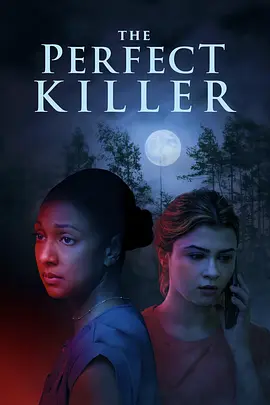 The Perfect Killer封面图