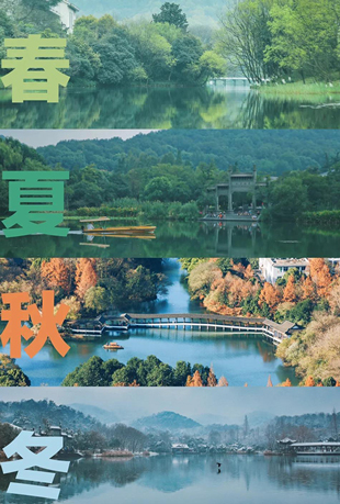 发现美丽台湾之春夏秋冬封面图