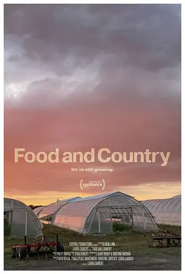 粮食与国家封面图