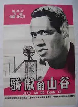 骄傲的山谷封面图