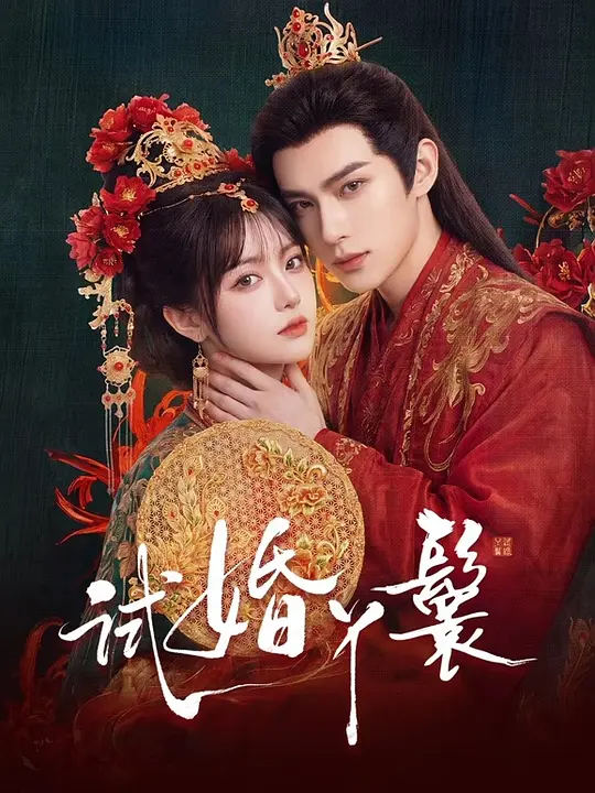 试婚丫鬟封面图