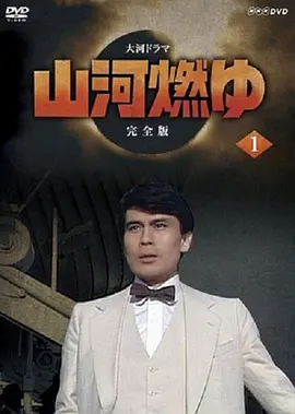 山河燃烧封面图