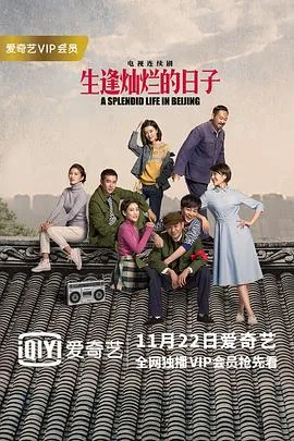 生逢灿烂的日子封面图