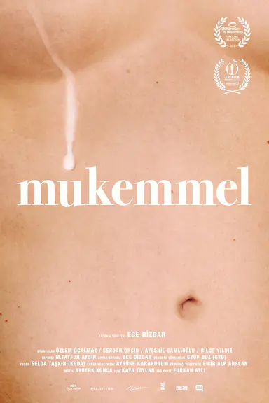 Mükemmel封面图