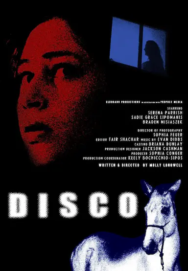 Disco封面图