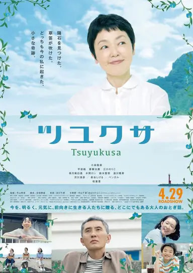 鸭跖草封面图