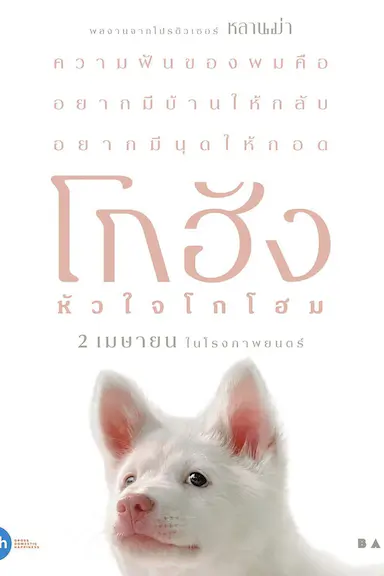 心犬相随封面图