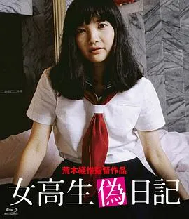 女高中生伪日记封面图