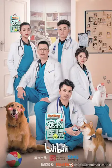 宠物医院封面图