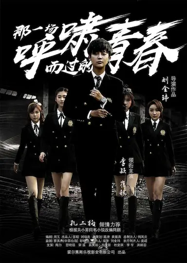 那一场呼啸而过的青春封面图
