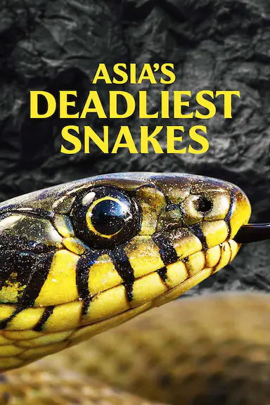 Asia's Deadliest Snakes封面图