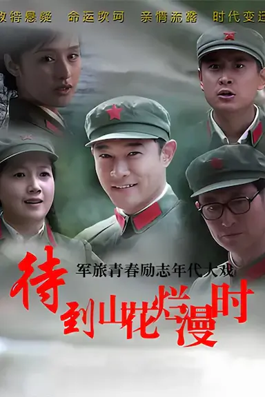 待到山花烂漫时封面图
