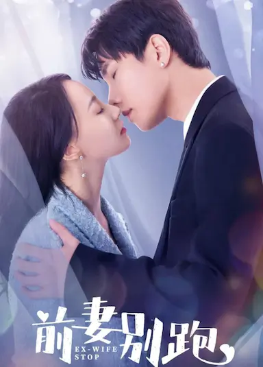 前妻别跑封面图