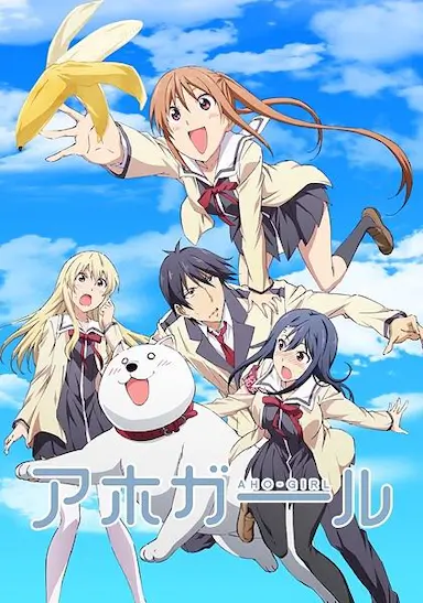 笨女孩封面图