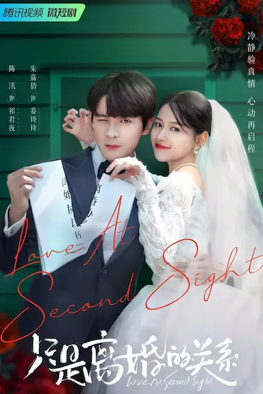 只是离婚的关系封面图
