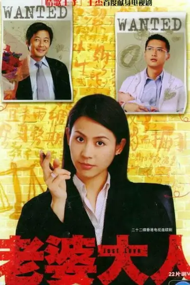 老婆大人封面图