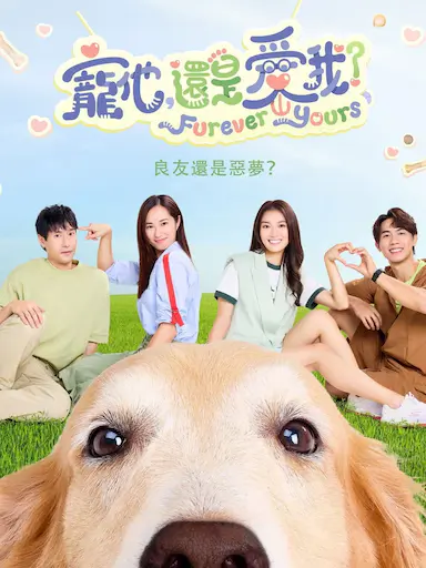 宠他，还是爱我？封面图