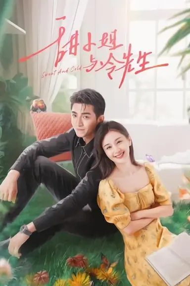 甜小姐与冷先生封面图