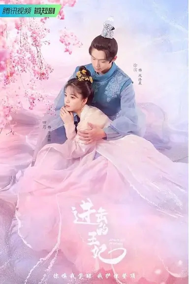 进击的王妃封面图
