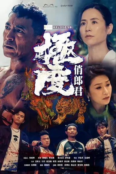 极度俏郎君封面图