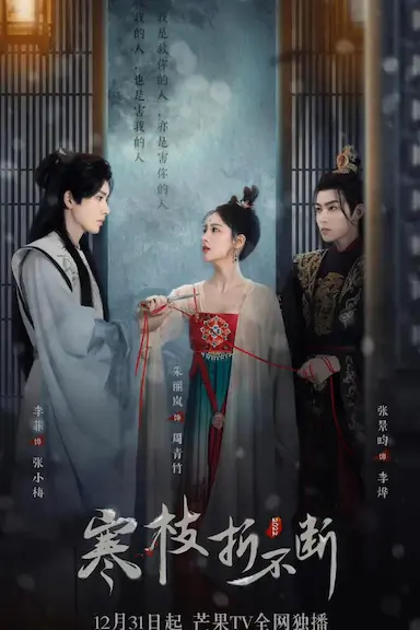 寒枝折不断封面图