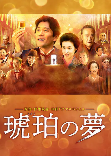 琥珀之梦封面图