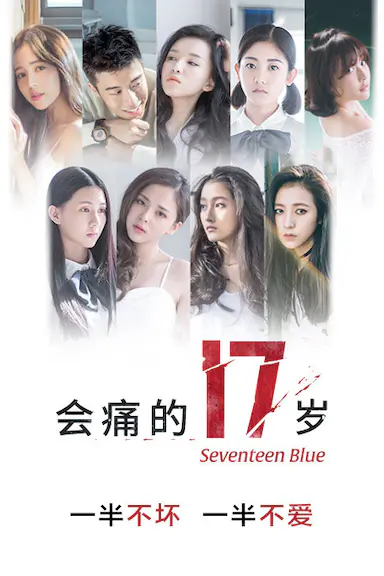会痛的17岁封面图