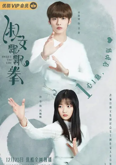 淑女飘飘拳封面图