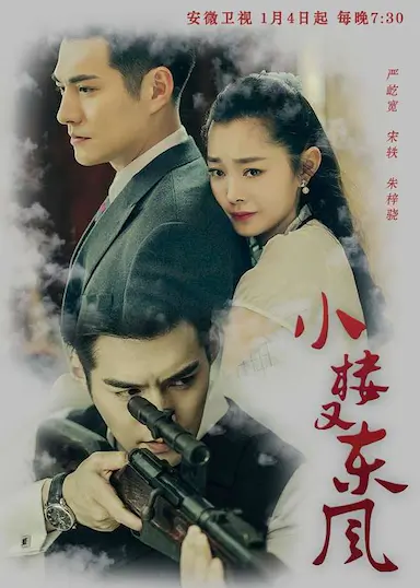 小楼又东风封面图