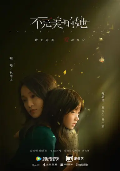 不完美的她封面图